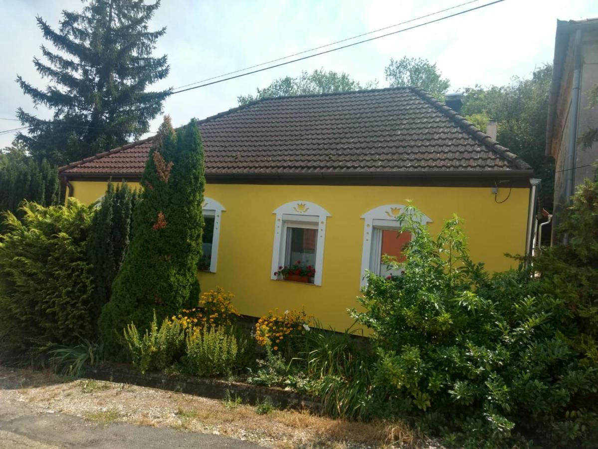 Foki Vendégház Hidegseg Exterior foto